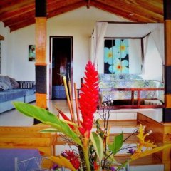 Makaira Resort in Taveuni Island, Fiji from 216$, photos, reviews - zenhotels.com guestroom photo 3
