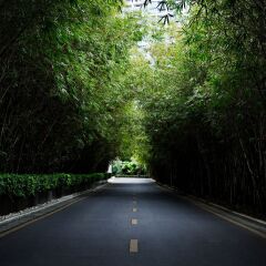 Отель InterContinental Sanya Resort фото 6
