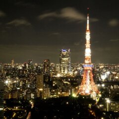 Отель Risveglio Akasaka Япония, Токио - отзывы, цены и фото номеров - забронировать отель Risveglio Akasaka онлайн балкон