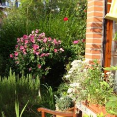 Отель B&B Marianne Бельгия, Брюссель - отзывы, цены и фото номеров - забронировать отель B&B Marianne онлайн фото 4