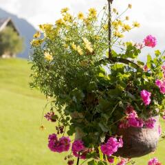 Отель Gstaad - Amazing Lake Chalet фото 6
