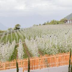 Отель Moar Lodge Лана пляж