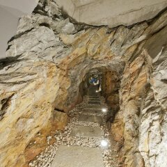 Hotel Schennerhof Сцена с домашними животными