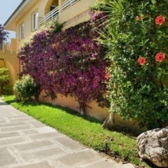 Отель Apartamentos Solecito