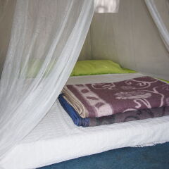 Shiva Camp Турция, Кабак - отзывы, цены и фото номеров - забронировать отель Shiva Camp онлайн комната для гостей фото 3