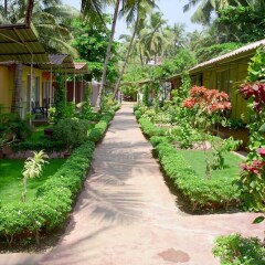 Отель Palolem Beach Resort Индия, Гоа - 1 отзыв об отеле, цены и фото номеров - забронировать отель Palolem Beach Resort онлайн фото 2