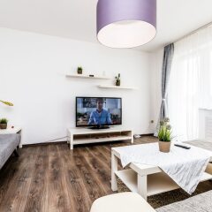 Апартаменты Apartment Humboldt-Gremberg 4km bis Köln Messe Кёльн комната для гостей фото 3