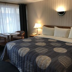 Отель Moonlite Motel США, Ниагара-Фолс - отзывы, цены и фото номеров - забронировать отель Moonlite Motel онлайн комната для гостей фото 4