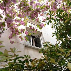 Отель My Nest Inn Paris Panthéon