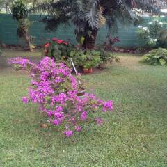 Mama's Hostel by Taprobane фото 10
