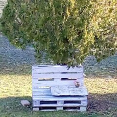 Отель Amor di lavanda Монтекассино пляж