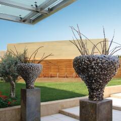 Отель Divani Apollon Suites