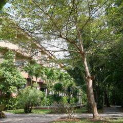 Отель Botany Beach Resort парковка