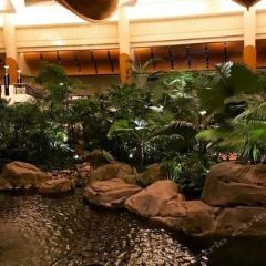 Отель Grand Hyatt Dubai Дубай фото 8