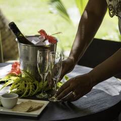 Отель Castaway Island Fiji гостиничный бар