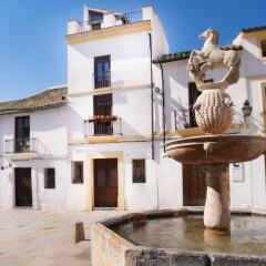 Отель Las Casas del Potro фото 5
