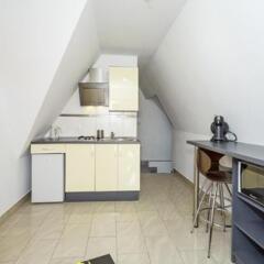 Отель Apartamenty i Pokoje Gościnne DZIEDZIC Józef Закопане в номере фото 2