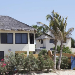 palmas tropicales beachfront rentals
