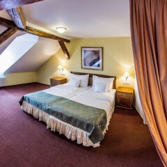 Hotel Dvorak Cesky Krumlov Чешский Крумлов удобства в номере фото 2