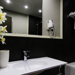 Hotel Pax Guadalajara ванная