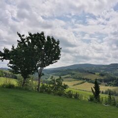 Отель Poderi Arcangelo Италия, Сан-Джиминьяно - 1 отзыв об отеле, цены и фото номеров - забронировать отель Poderi Arcangelo онлайн фото 7