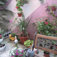 Отель Guest House Orchidea Болгария, Поморие - отзывы, цены и фото номеров - забронировать отель Guest House Orchidea онлайн фото 4