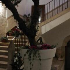 Отель Il Nido dei Falchi B&B Альтамура фото 7
