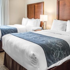 Comfort Suites Near Potomac Mills in Woodbridge, United States of America from 125$, photos, reviews - zenhotels.com guestroom