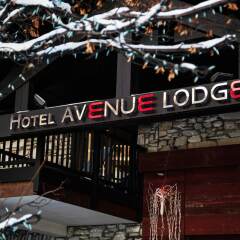 Отель Hôtel Avenue Lodge спортивное сооружение