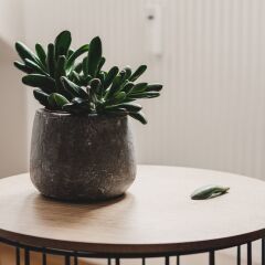 Отель Hygge Lisbon Suites Лиссабон интерьер отеля