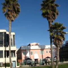 Отель Venice on the Beach Hotel США, Лос-Анджелес - отзывы, цены и фото номеров - забронировать отель Venice on the Beach Hotel онлайн фото 14