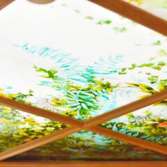 Hotel Renoir Saint Germain развлечения