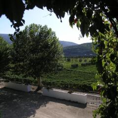 The Wine House Hotel - Quinta Da Pacheca Ламего фото 6