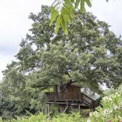 Отель Agriturismo Fattoria La Prugnola Монтескудаио балкон