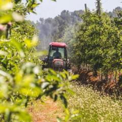 Отель Quinta da Barroca Португалия, Армамар - отзывы, цены и фото номеров - забронировать отель Quinta da Barroca онлайн фото 4