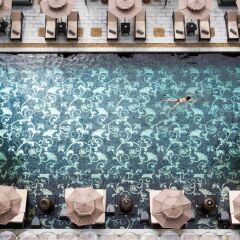 Hotel Royal Hoi An - MGallery by Sofitel с домашними животными