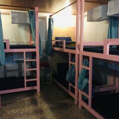 Отель Hai Cay Thong Homestay - Hostel Вьетнам, Далат - отзывы, цены и фото номеров - забронировать отель Hai Cay Thong Homestay - Hostel онлайн фото 21