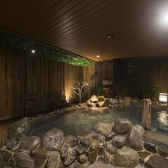 Отель Dormy Inn Tokyo-Hatchobori Natural Hot Spring бассейн фото 3