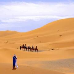 Отель Le Petit Prince Merzouga Марокко, Мерзуга - отзывы, цены и фото номеров - забронировать отель Le Petit Prince Merzouga онлайн приотельная территория фото 2