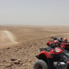 Отель Riad Bel Haj Марокко, Марракеш - отзывы, цены и фото номеров - забронировать отель Riad Bel Haj онлайн приотельная территория фото 2