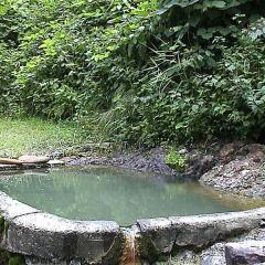 Отель Ebisuya (Hijiori Onsen) Синдзё бассейн
