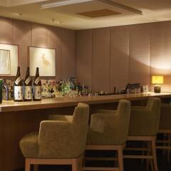 Louis Hotel гостиничный бар