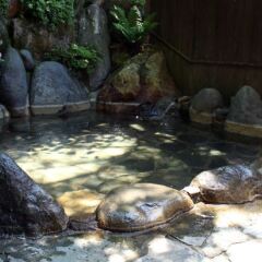 Отель Sujiyu Onsen Takaraya Ryokan Oita Япония, Минамиогуни - отзывы, цены и фото номеров - забронировать отель Sujiyu Onsen Takaraya Ryokan Oita онлайн фото 3