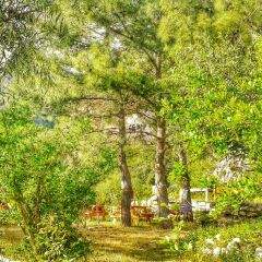 Гостевой Дом Dionysos Lodge фото 4