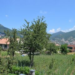 Отель Casa dei Fiori Аджерола
