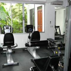Отель Gaia Hotel And Reserve - Adults Only Коста-Рика, Кепос - отзывы, цены и фото номеров - забронировать отель Gaia Hotel And Reserve - Adults Only онлайн фитнесс-зал