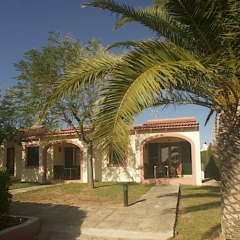 Отель Bungalows Ses Malvas Испания, Кала-эн-Бланес - 1 отзыв об отеле, цены и фото номеров - забронировать отель Bungalows Ses Malvas онлайн развлечения