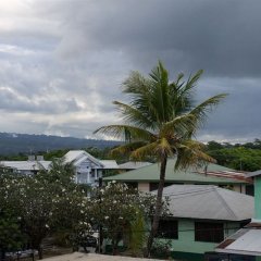 Amau Apartments in Apia-Fagali, Samoa from 149$, photos, reviews - zenhotels.com balcony