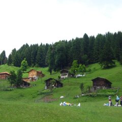 Ayder Resort Hotel Турция, Чамлыхемшин - отзывы, цены и фото номеров - забронировать отель Ayder Resort Hotel онлайн фото 8