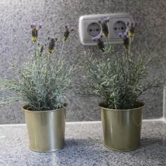 Отель Apartamento Gran Vía III
